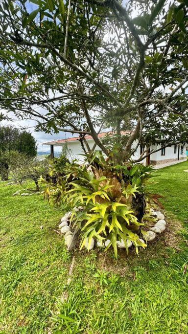 Finca Con Vistas Al Lago Calima Villa Buitenkant foto